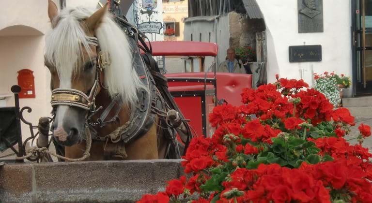 Sommer - Kastelruth Dorfzentrum mit Brunnen und Haflinger 02.JPG