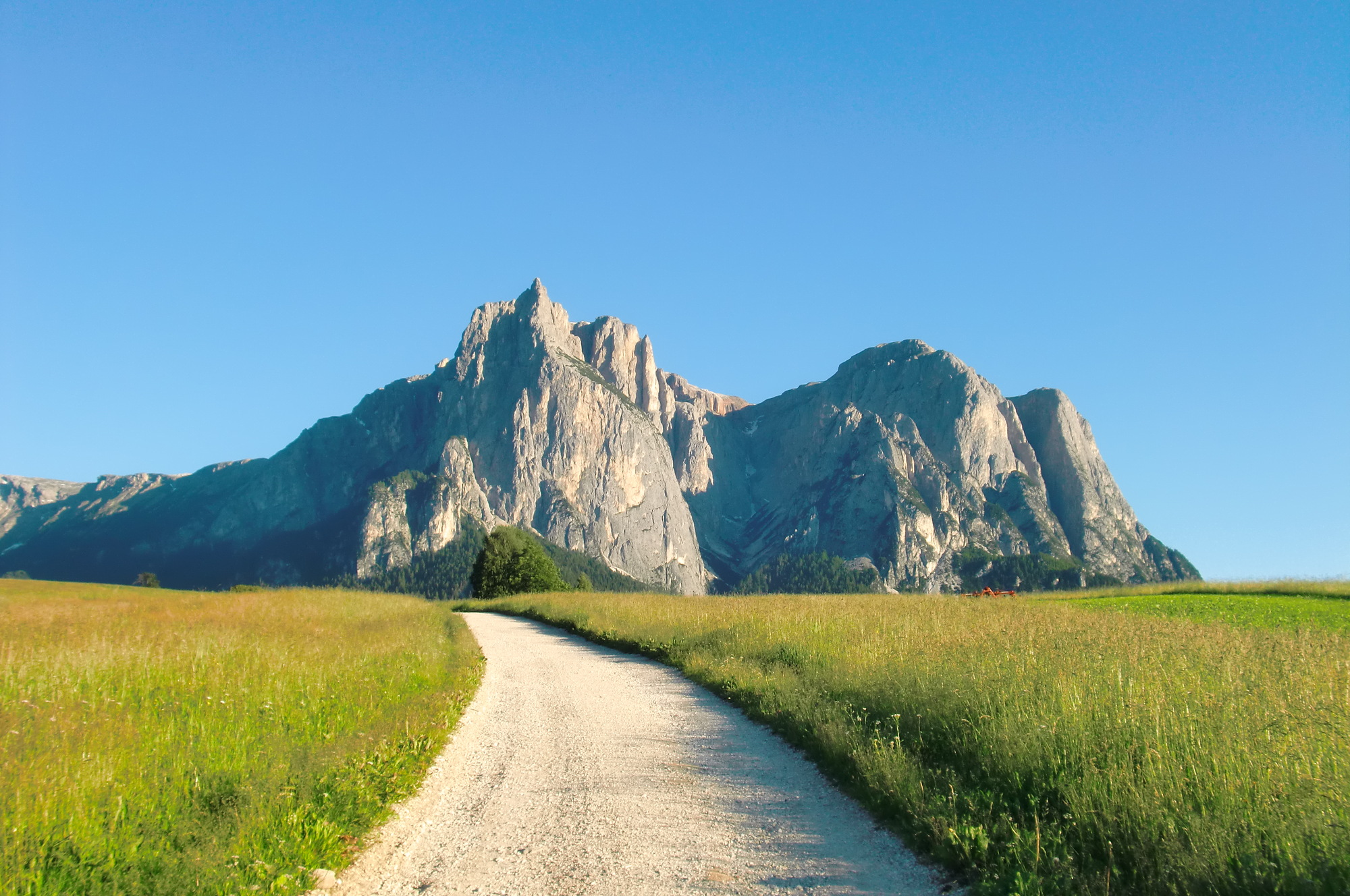 Sommer - Schererplatzl 04.JPG